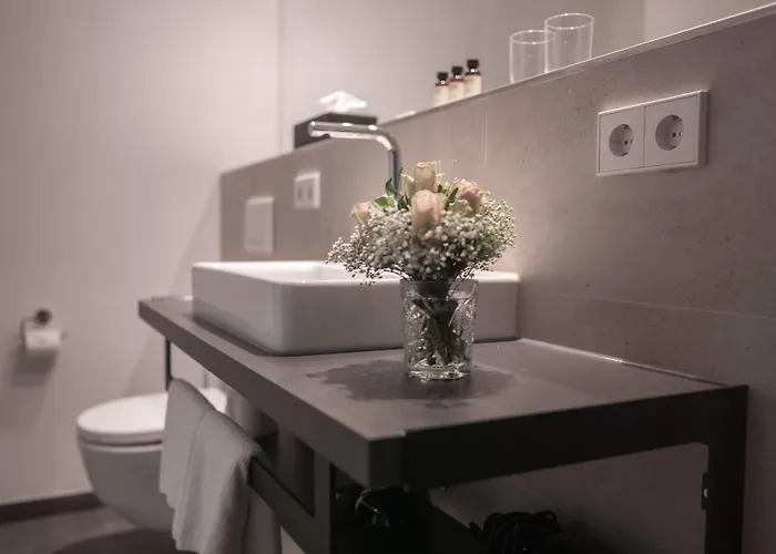 Suytes 4* Heidelberg