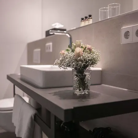 Suytes 4* Heidelberg