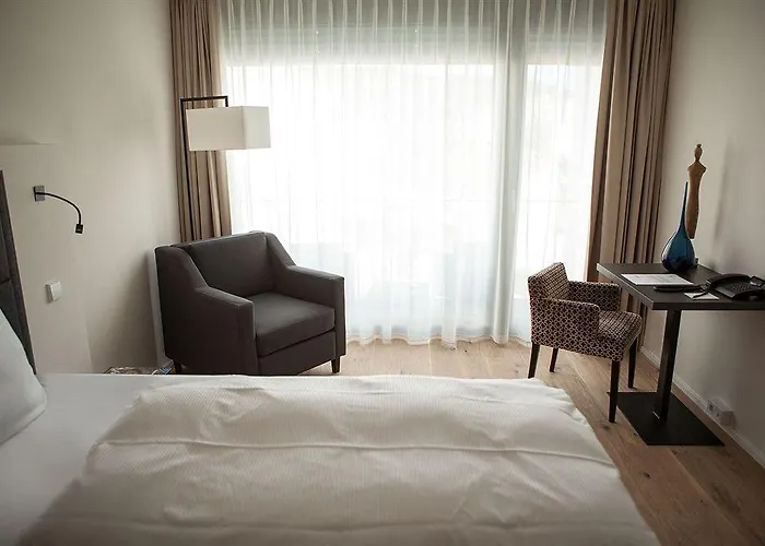 Suytes Хайдельберг